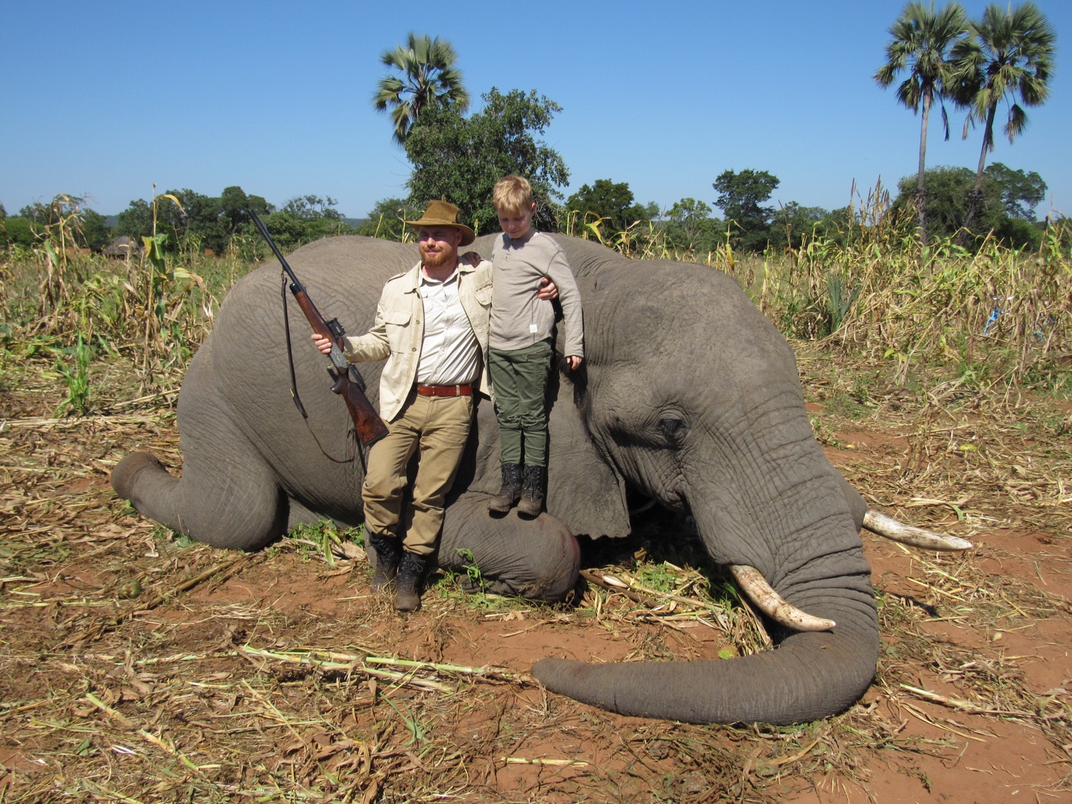 Extra Elephant Hunting Quota Available Zimbabwe 2018 | Page 2