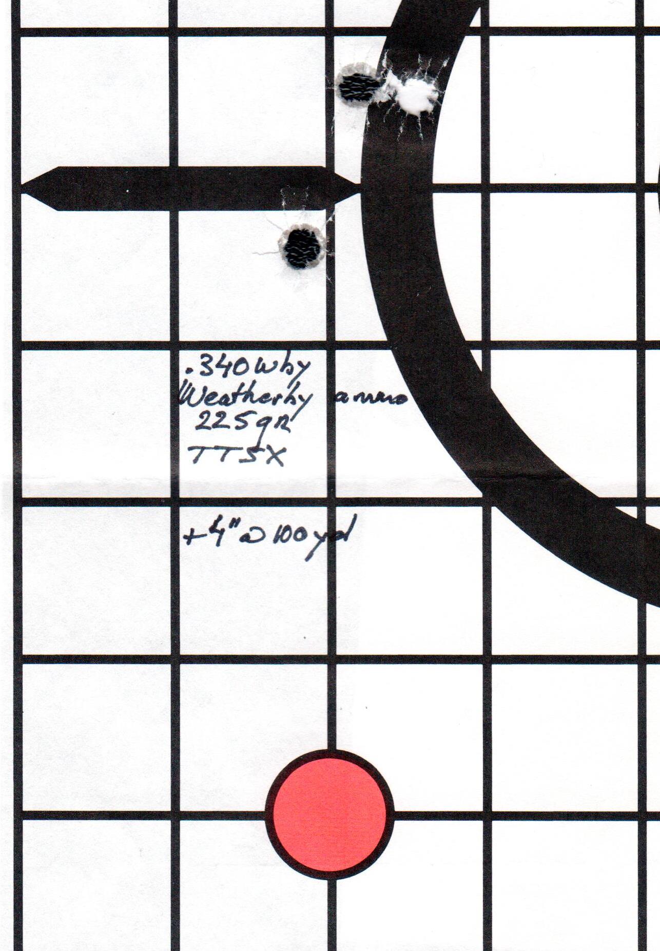 .340 Wby 225 gr Barnes TTSX group.jpg