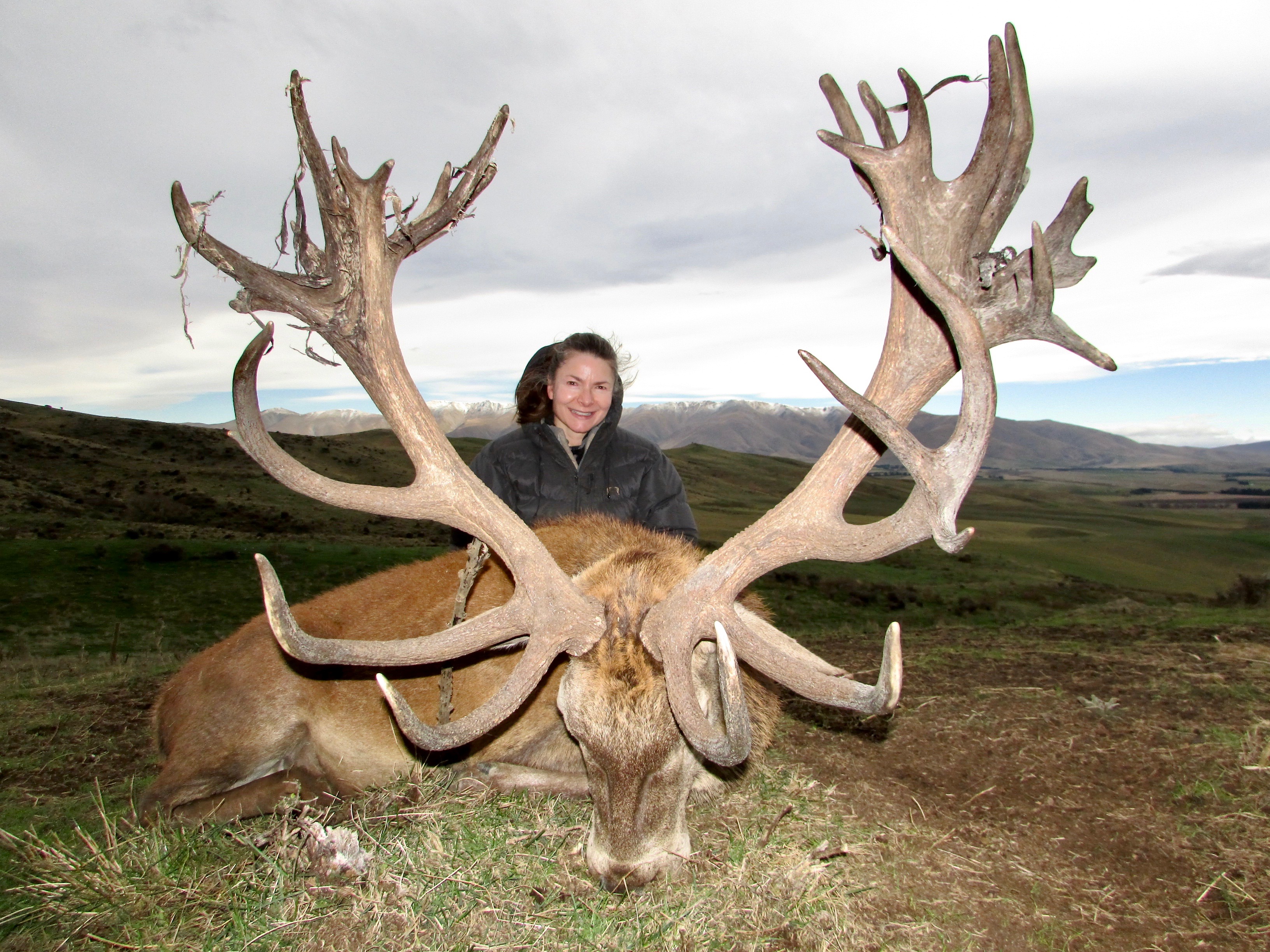 408 inch Red Stag.jpeg