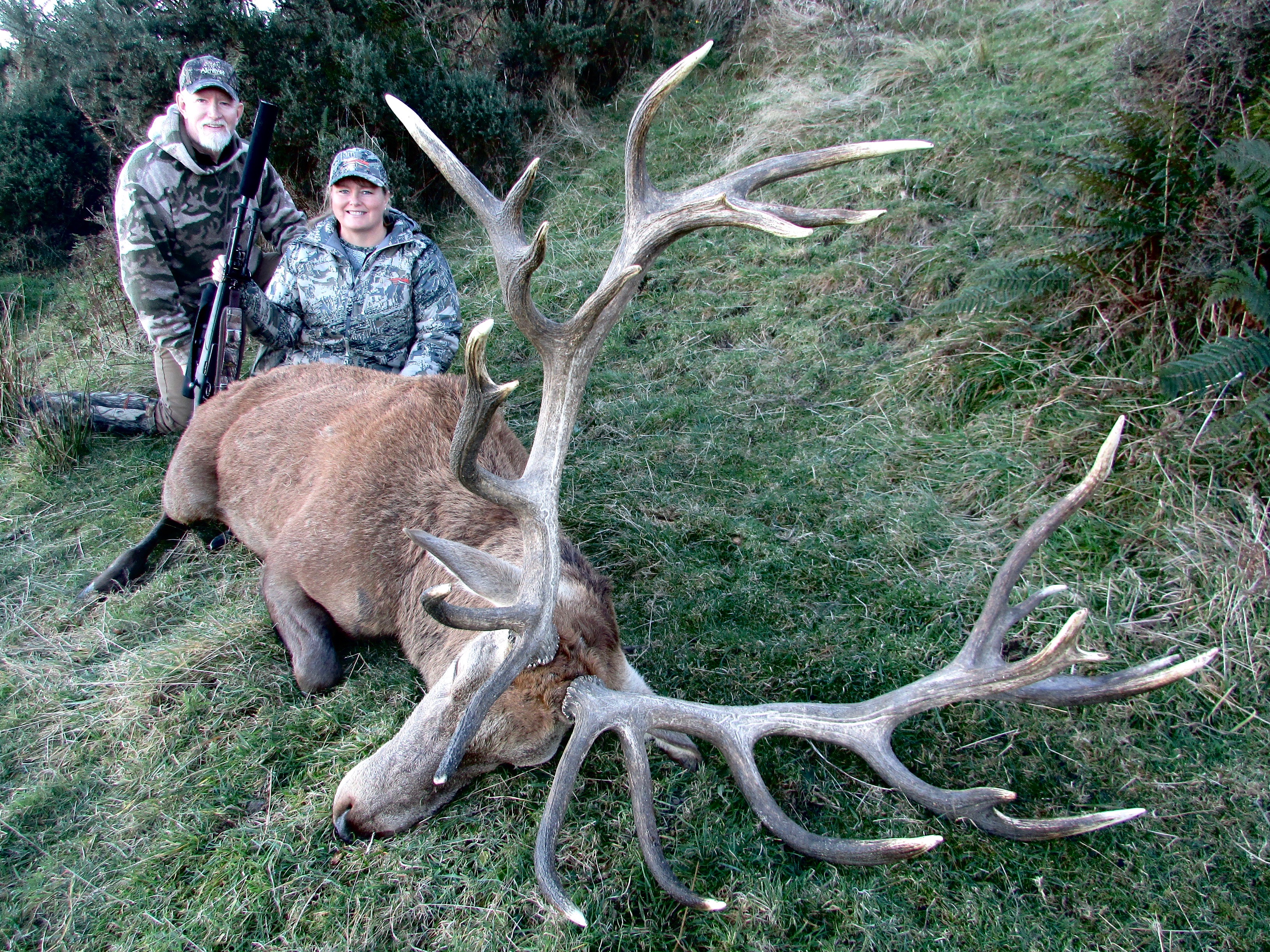 409 inch Red Stag.jpeg