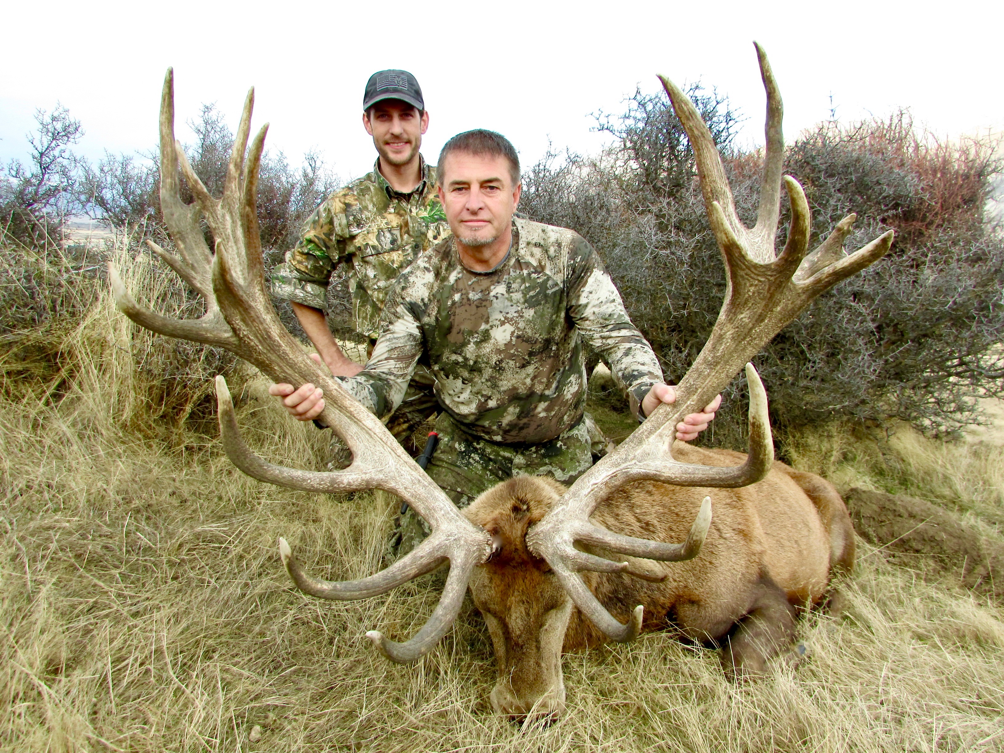 410 inch Red Stag- Texans.jpeg