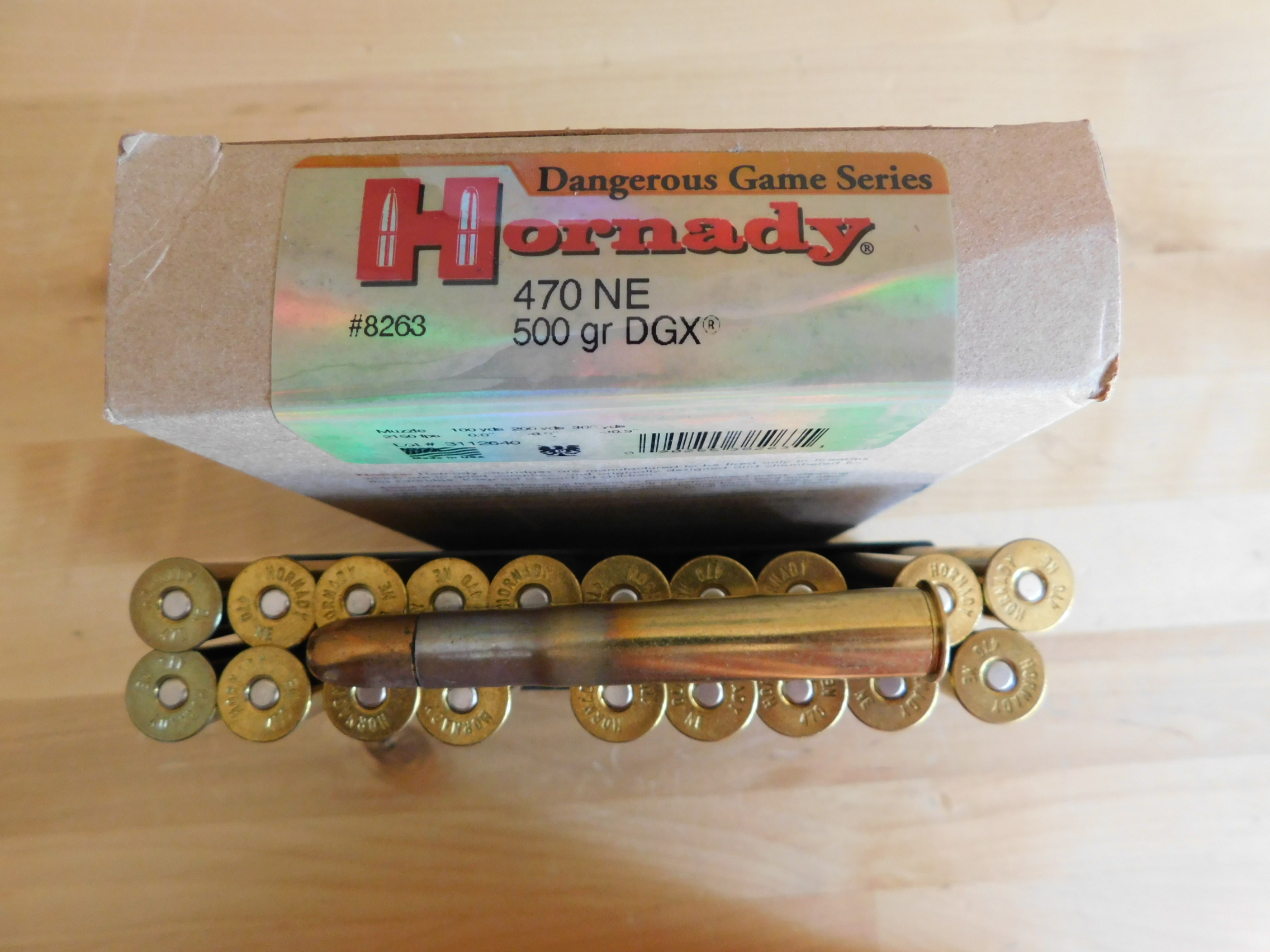 470 Nitro Ammo Hornady HS and case.JPG