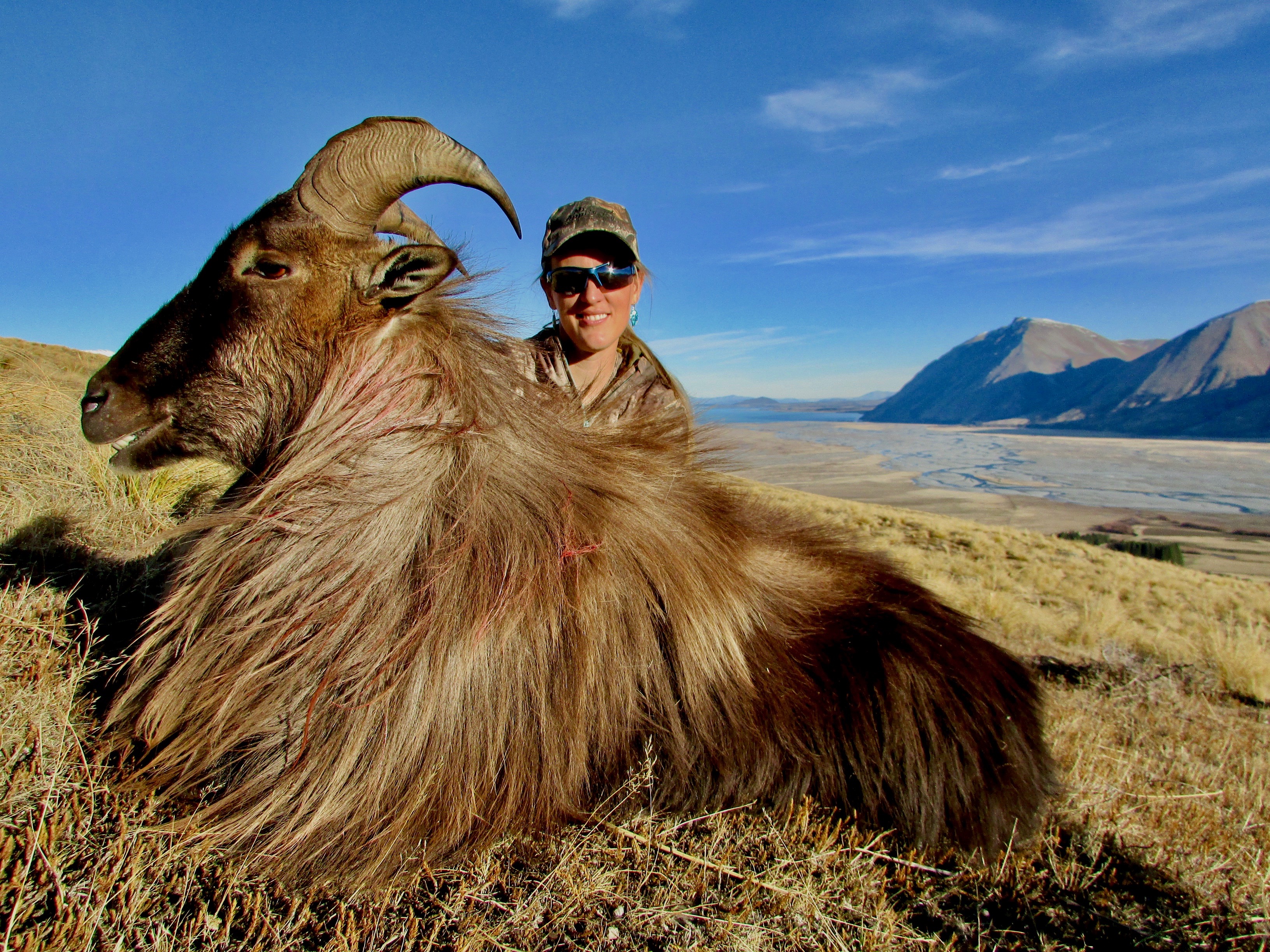 6 yr old 13 inch Tahr.jpeg