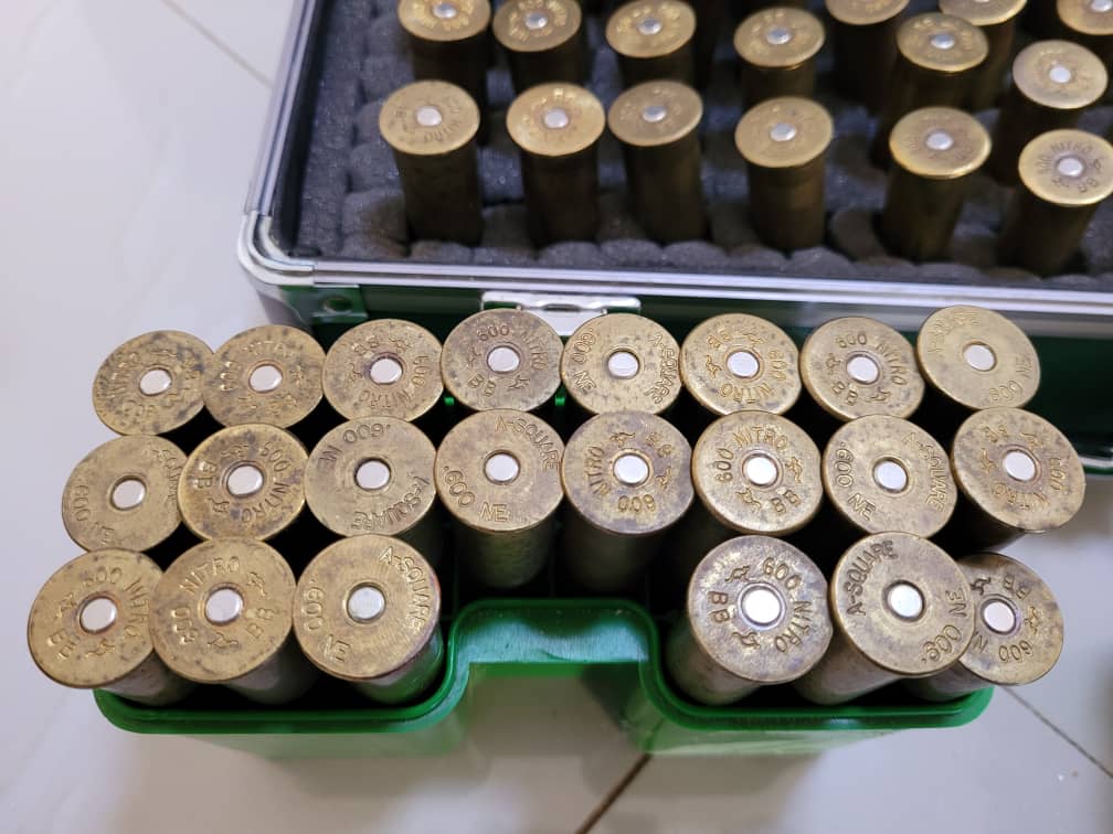 .600NE Ammo For Sale | AfricaHunting.com