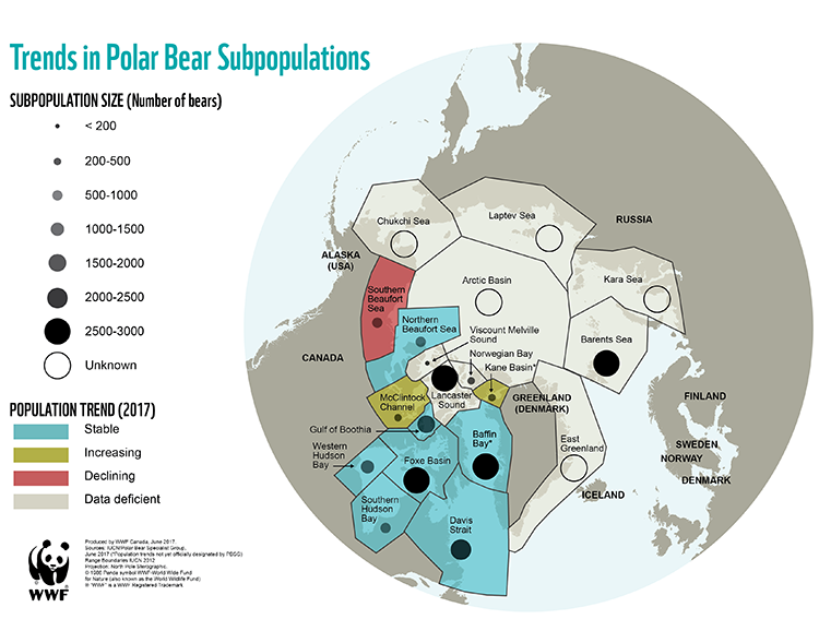 750x578q70Polar-Bear-Populations.png