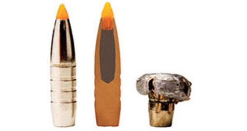 Trophy bonded tip | AfricaHunting.com