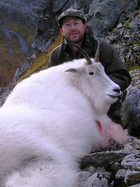 Kodiak mountain goat | AfricaHunting.com