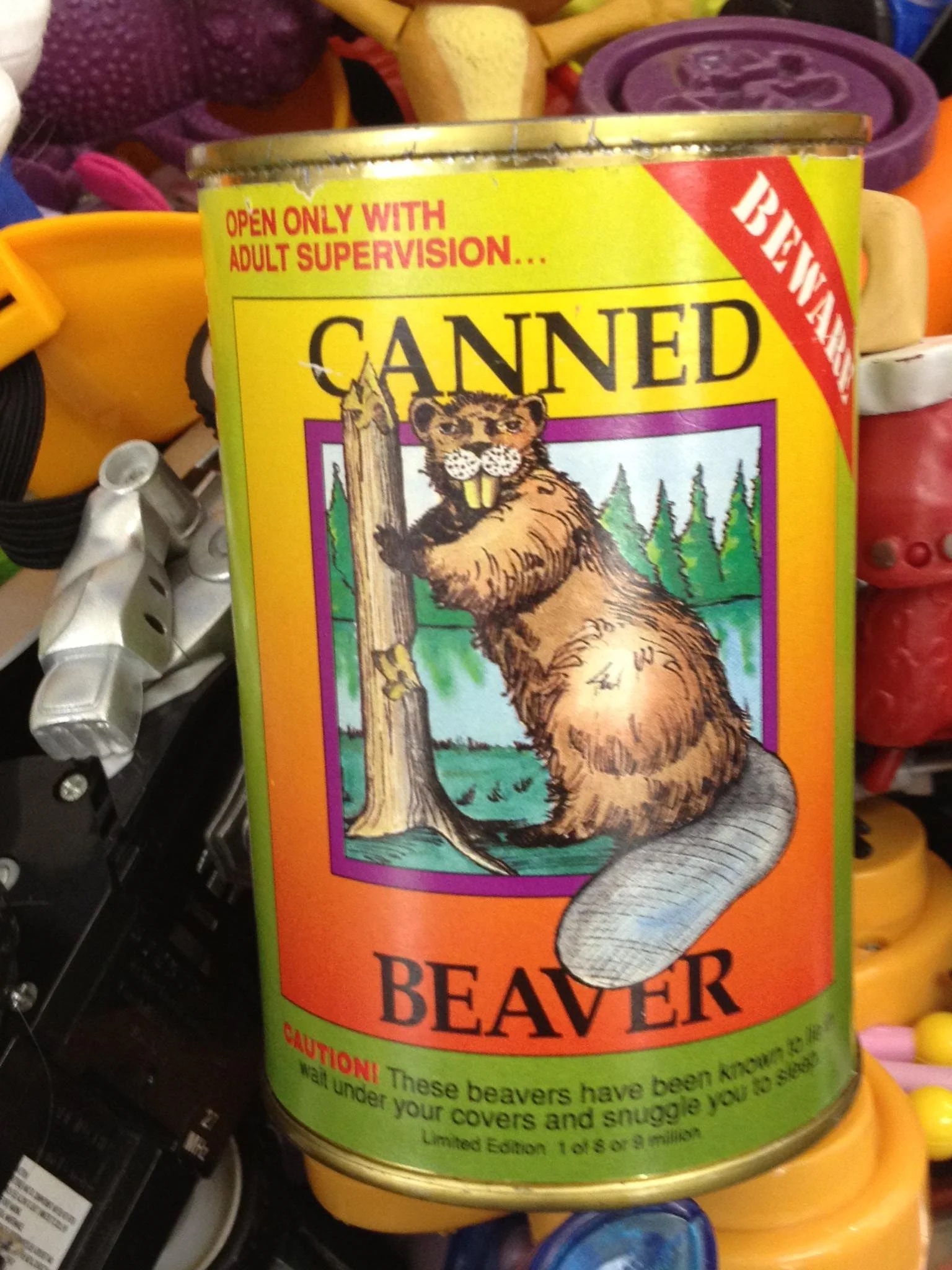 a1canned beaver.jpg