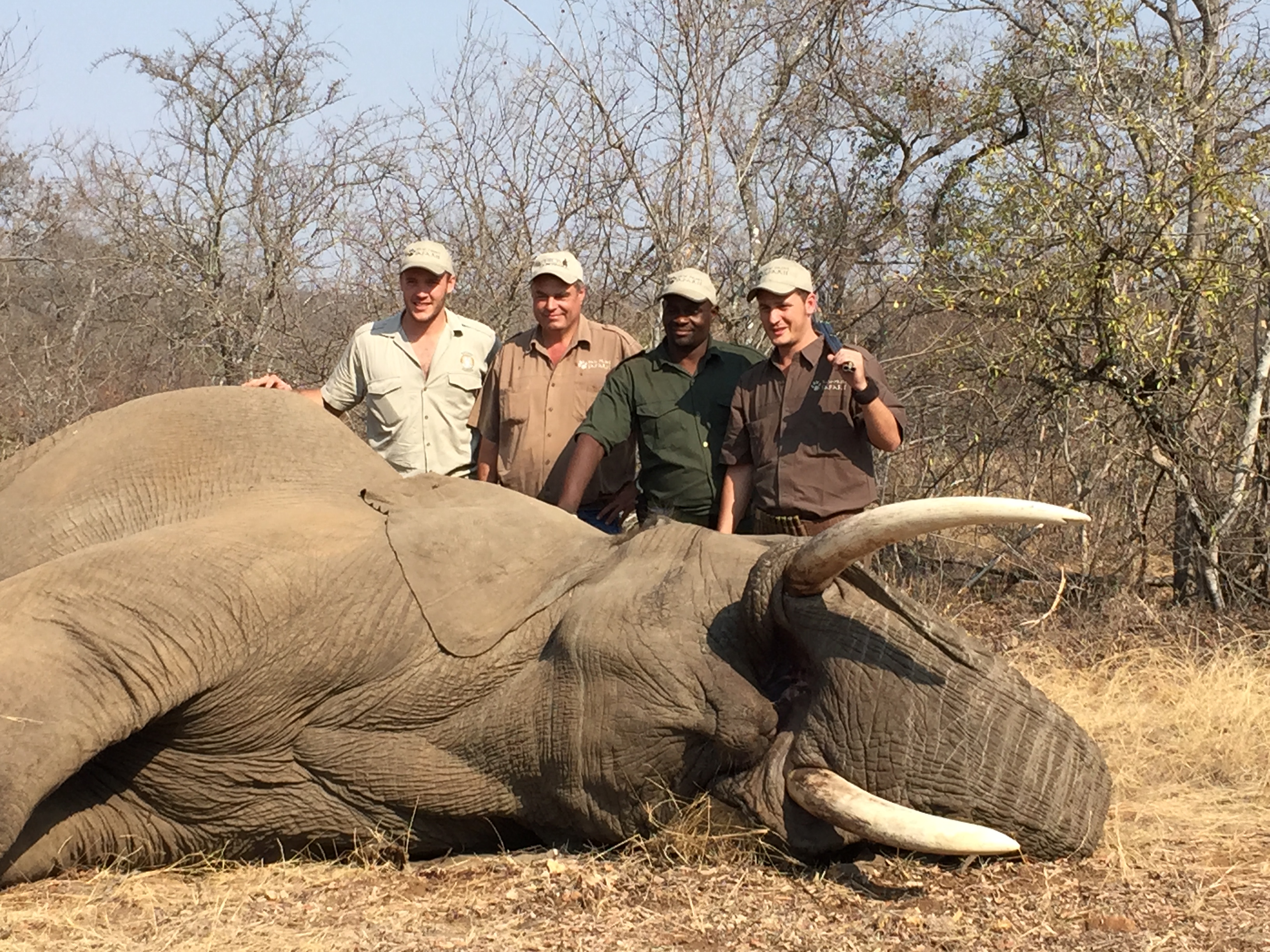 Largest Trophies | AfricaHunting.com