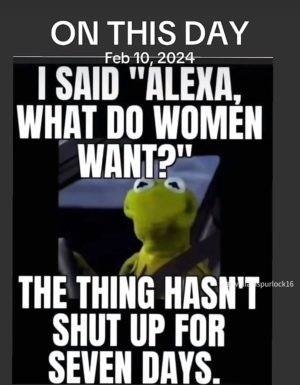 alexa.jpg