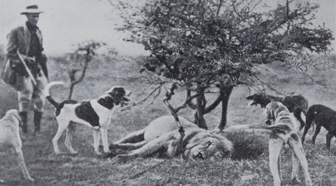 armchair-safari-shelley-with-dogs-051917.jpg