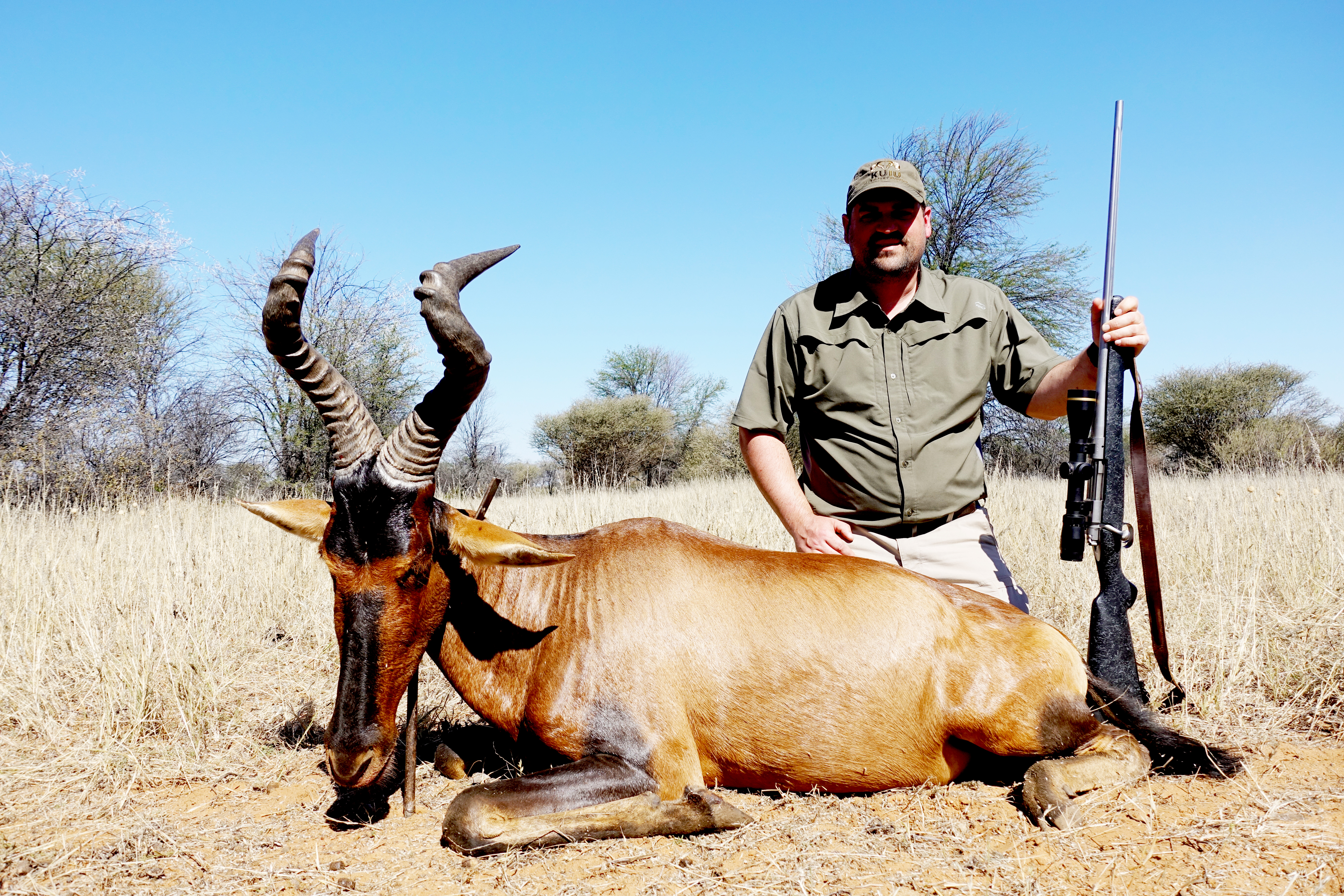 Bair - Red Hartebeest.jpg