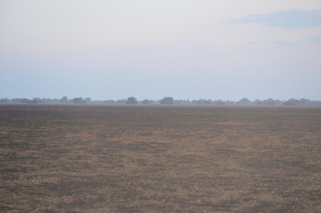 Bangweulu Plains.jpg