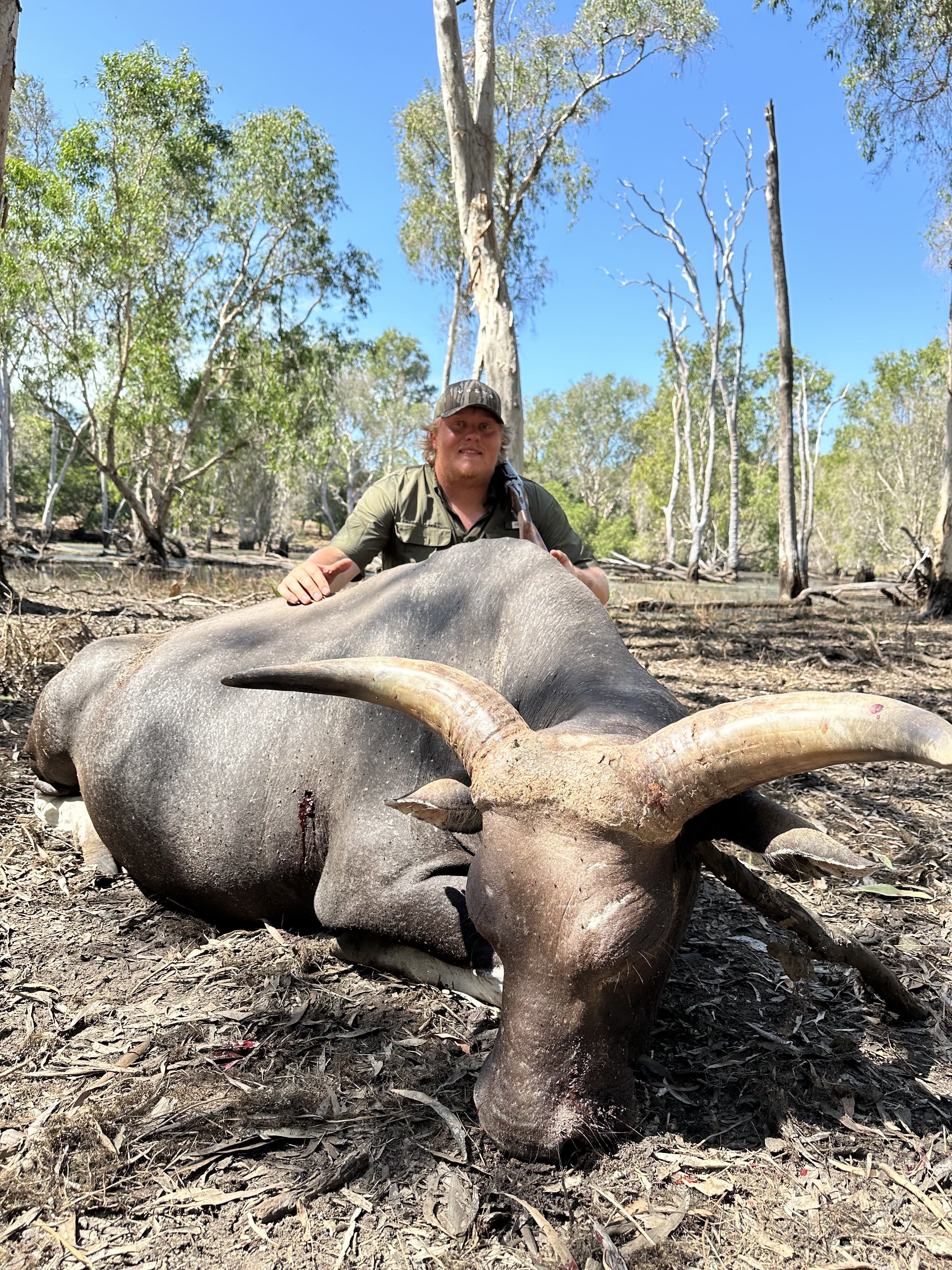 banteng.jpg