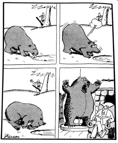 Bear Jokes.jpg