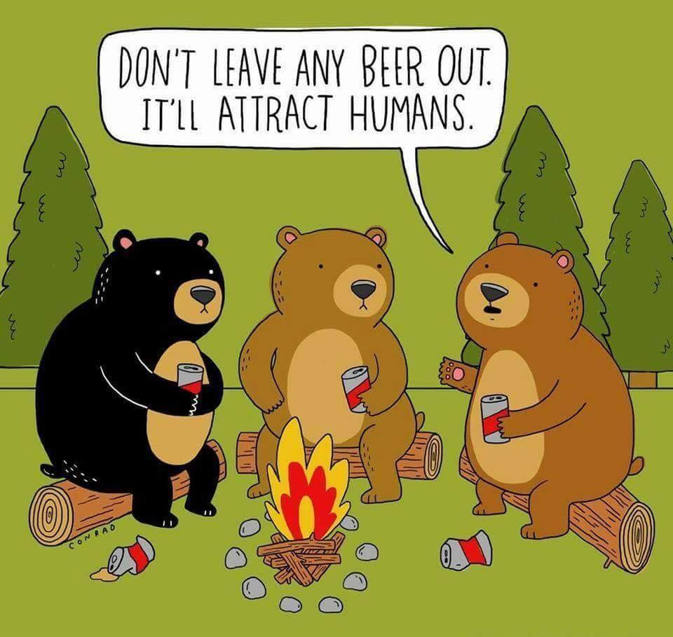Bears&Beer.jpg