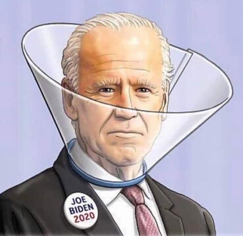 biden_deflector.jpg