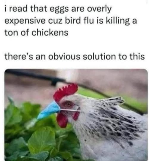 bird flu meme.jpg