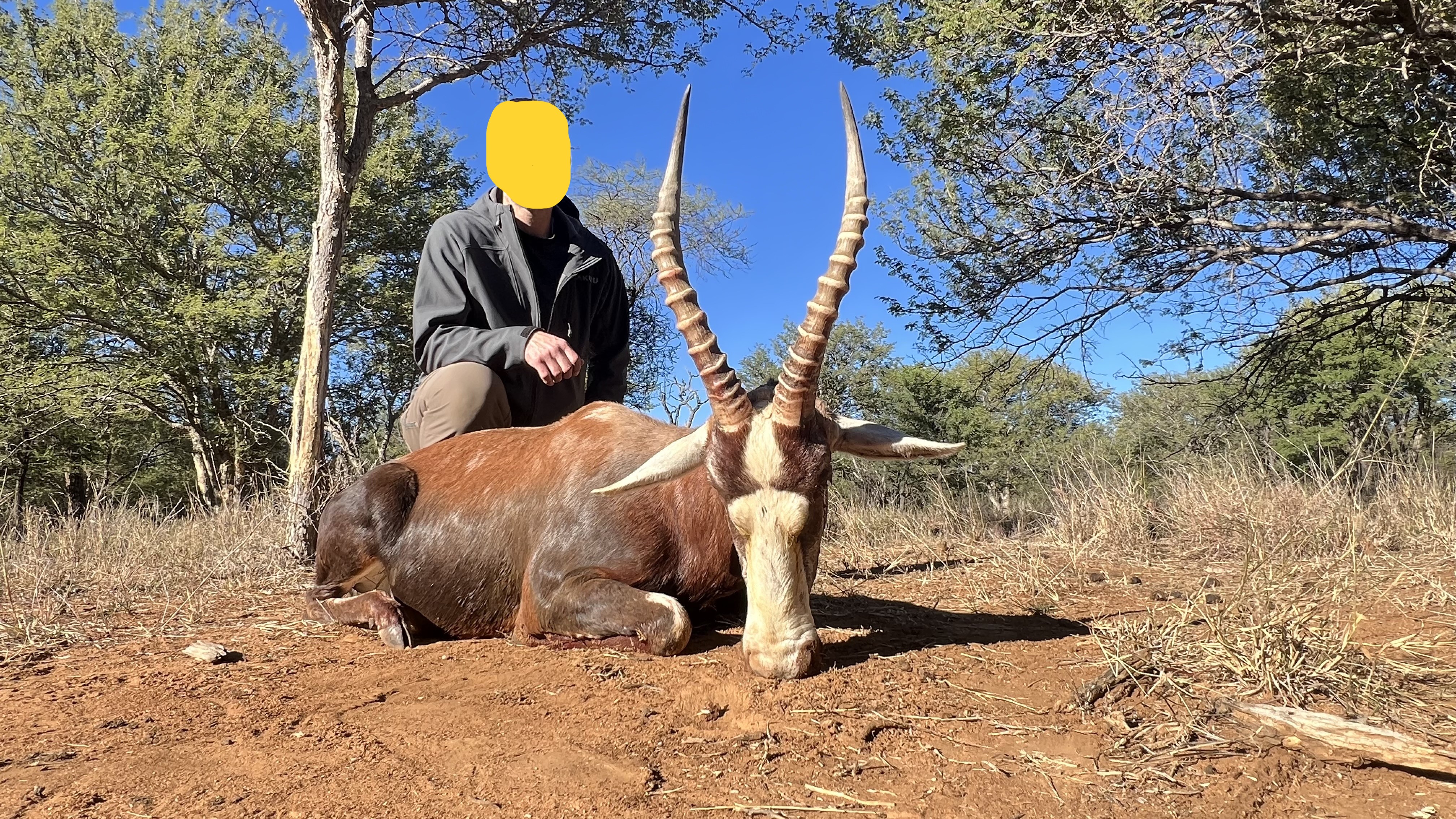 Blesbok.jpg