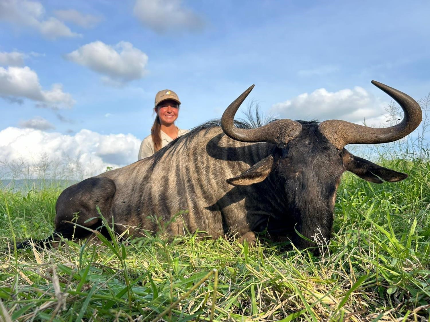 Blue Wildebeest.jpg