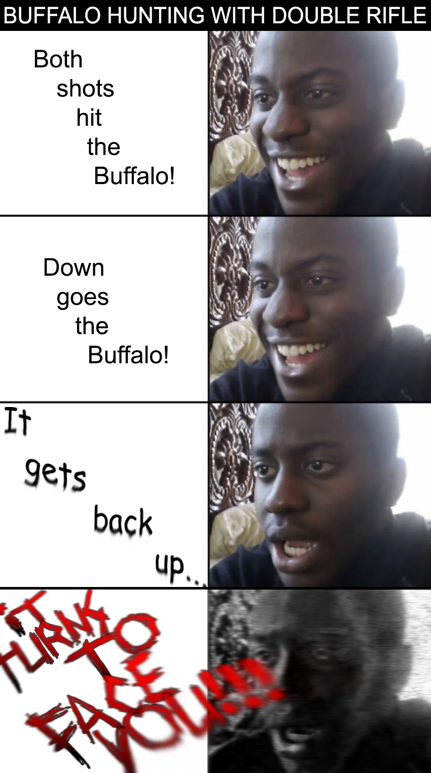 BUFFALO.png