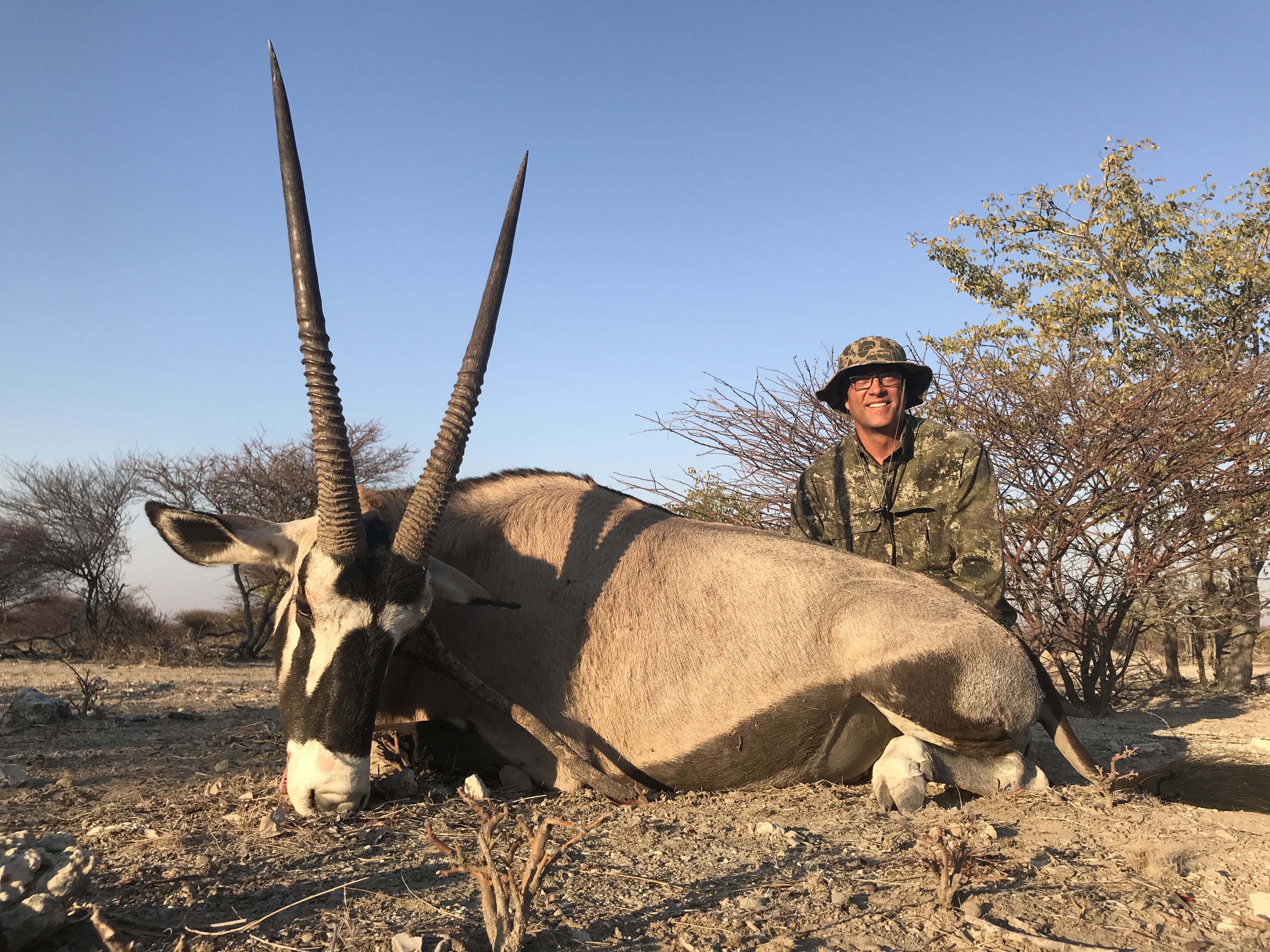 Bull oryx at Etosha.JPG