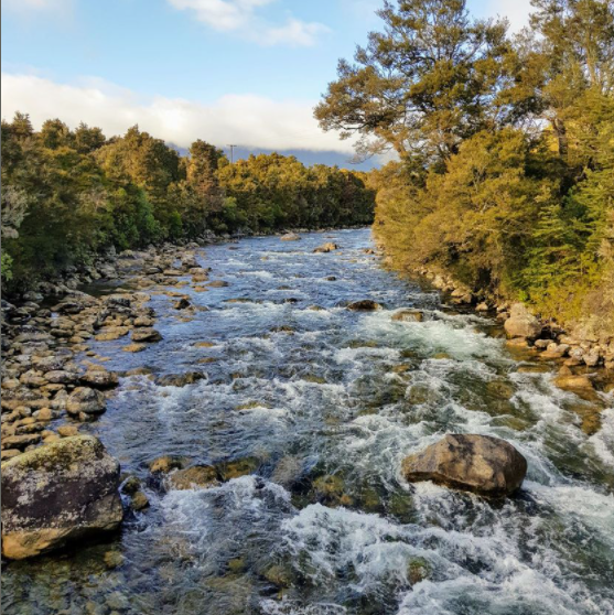 Buller river.png