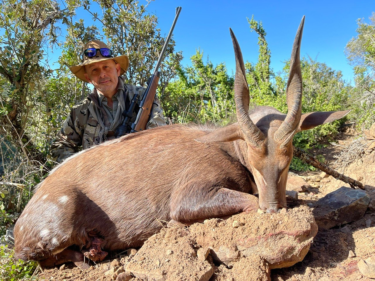 BUSHBUCK.jpg