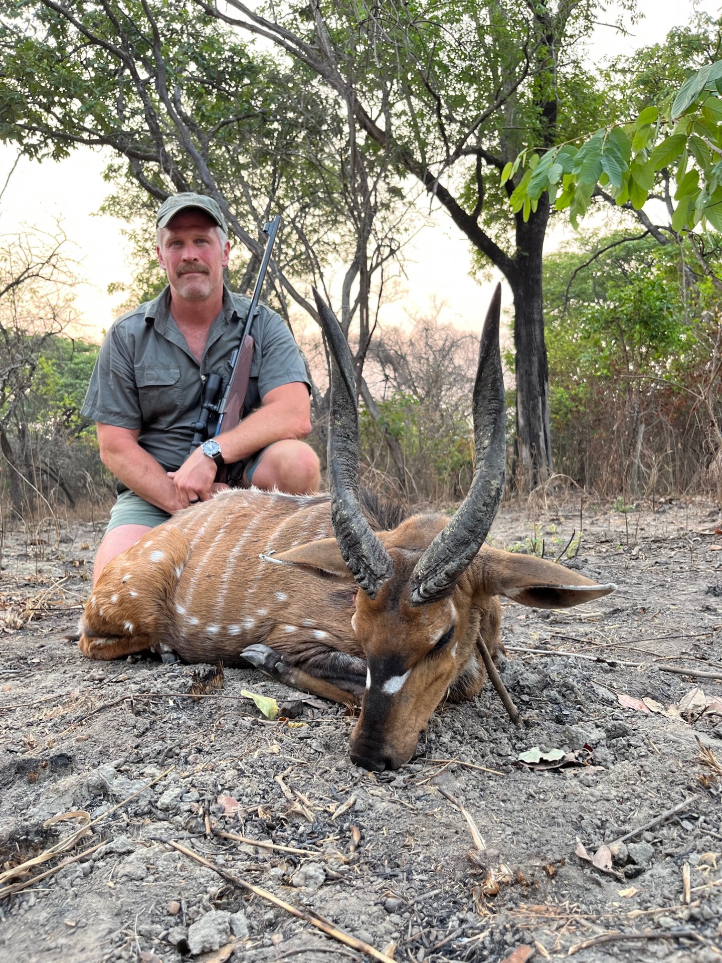 Bushbuck2.jpg