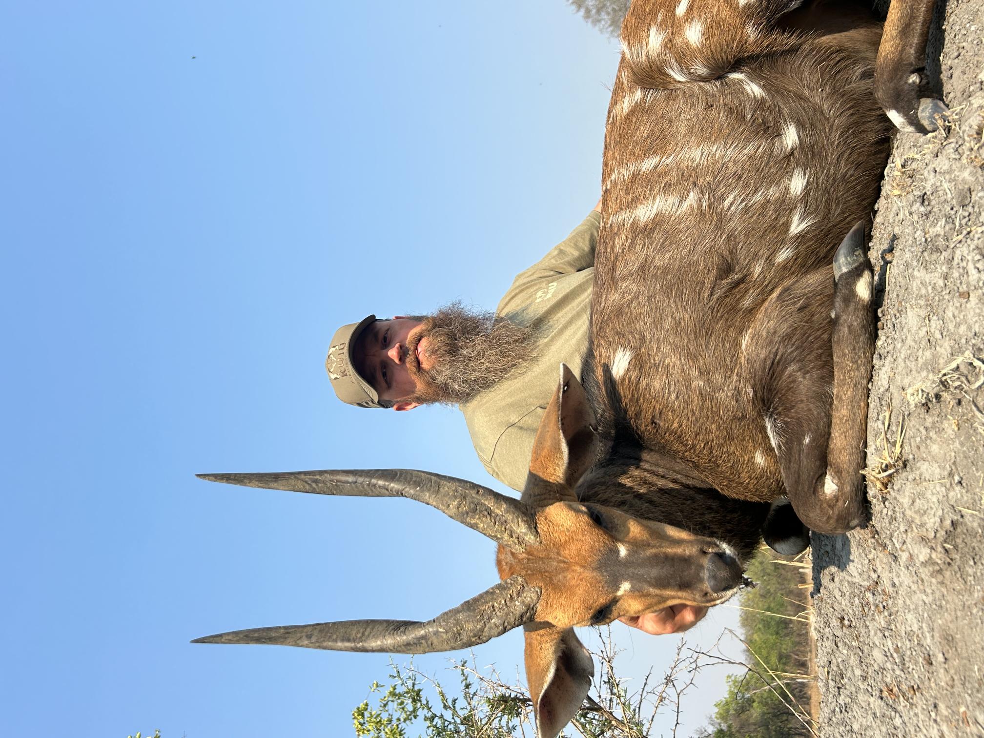 Bushbuck2.jpg