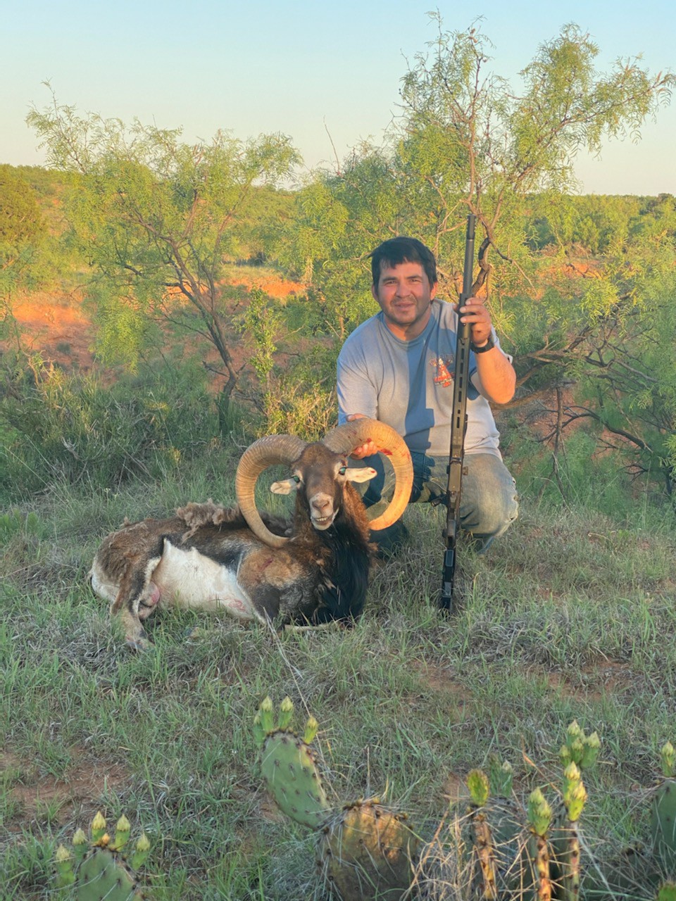 Summer Axis Deer Rut Hunt Texas Available AfricaHunting.com