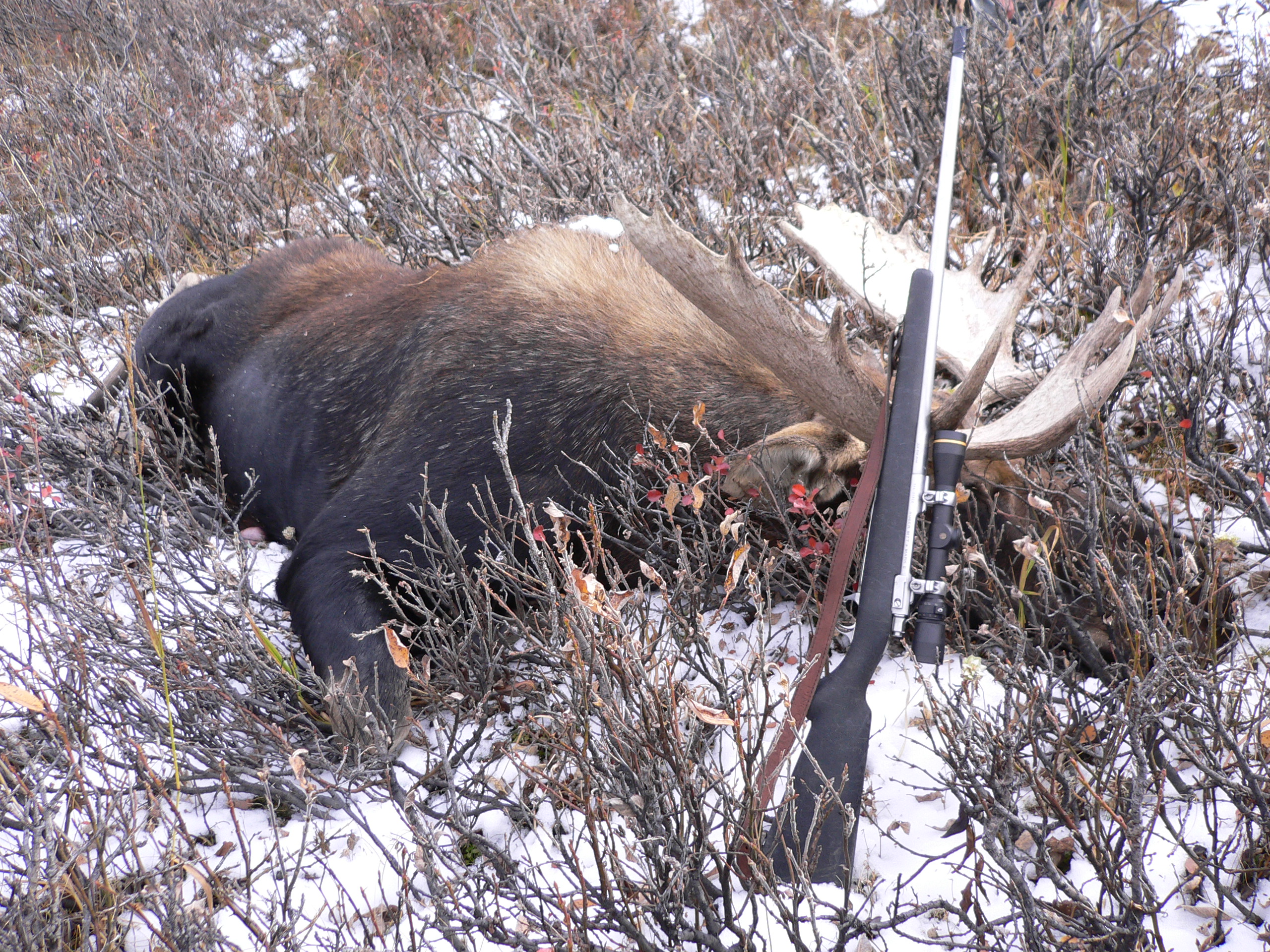 canada hunt 027.jpg