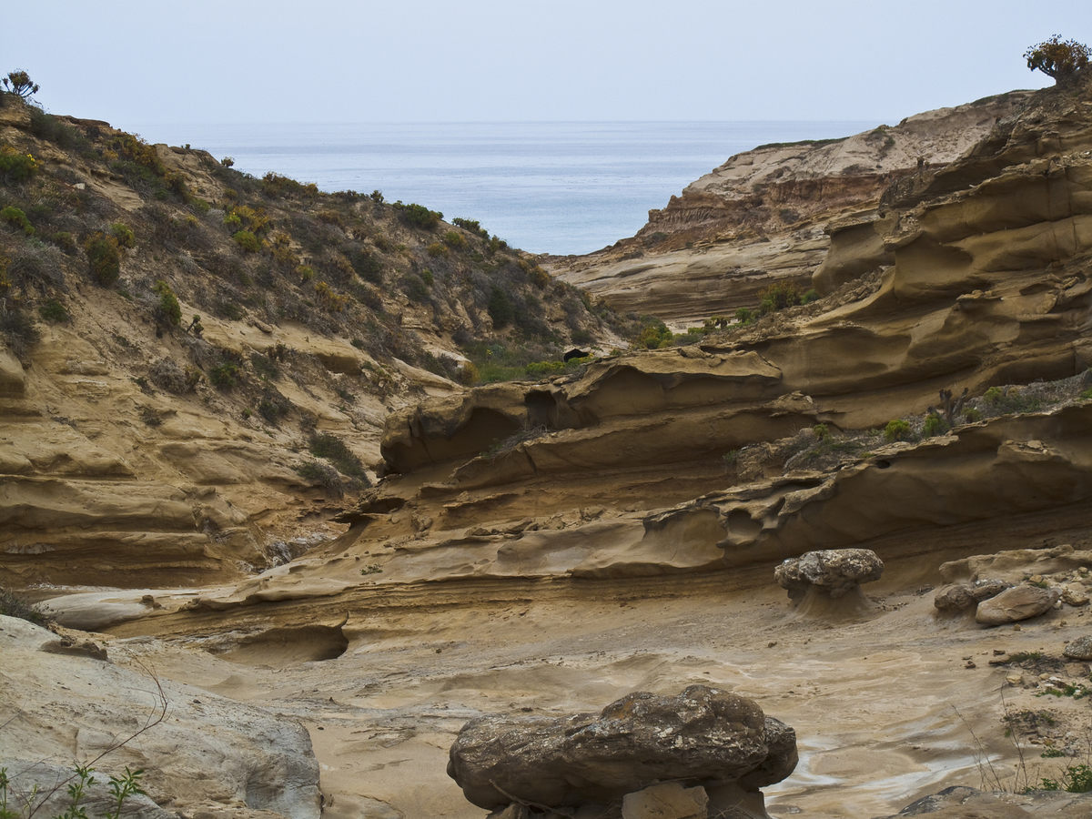 Canyon North Side San Nicolas Island.jpg