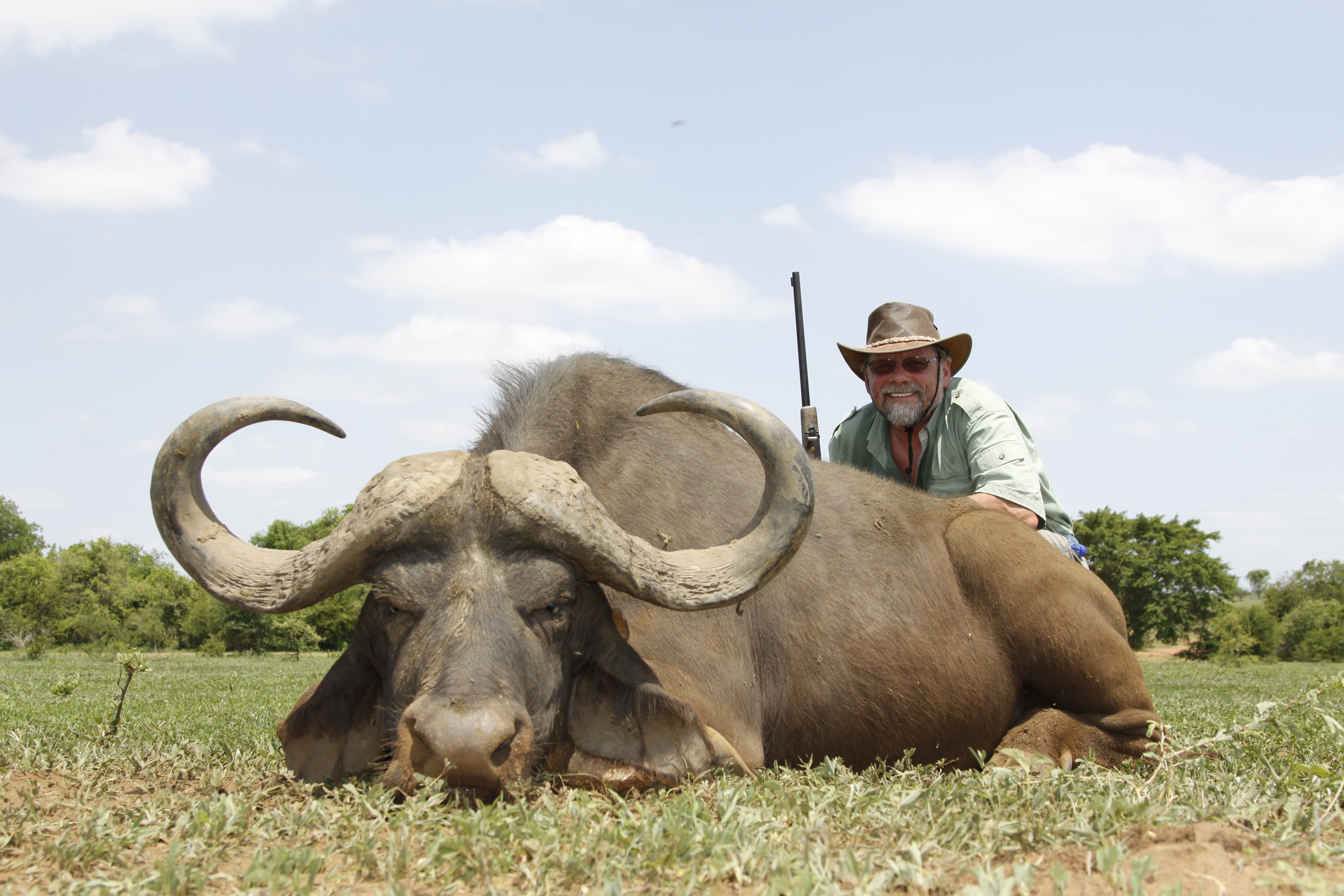 Cape Buffalo Bull.JPG