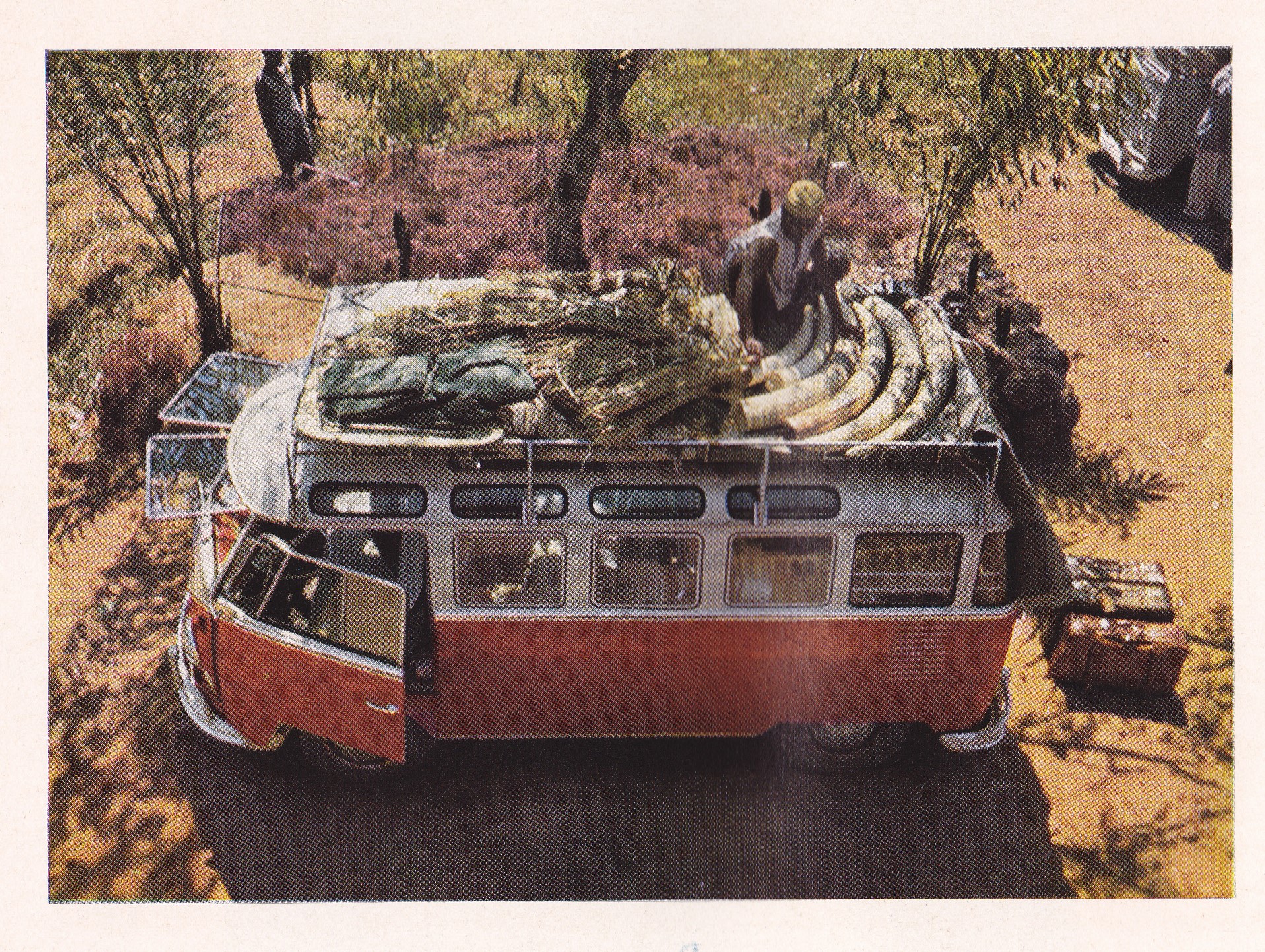 CAR VW Bus.jpg