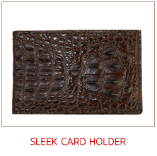 card-holder.jpg