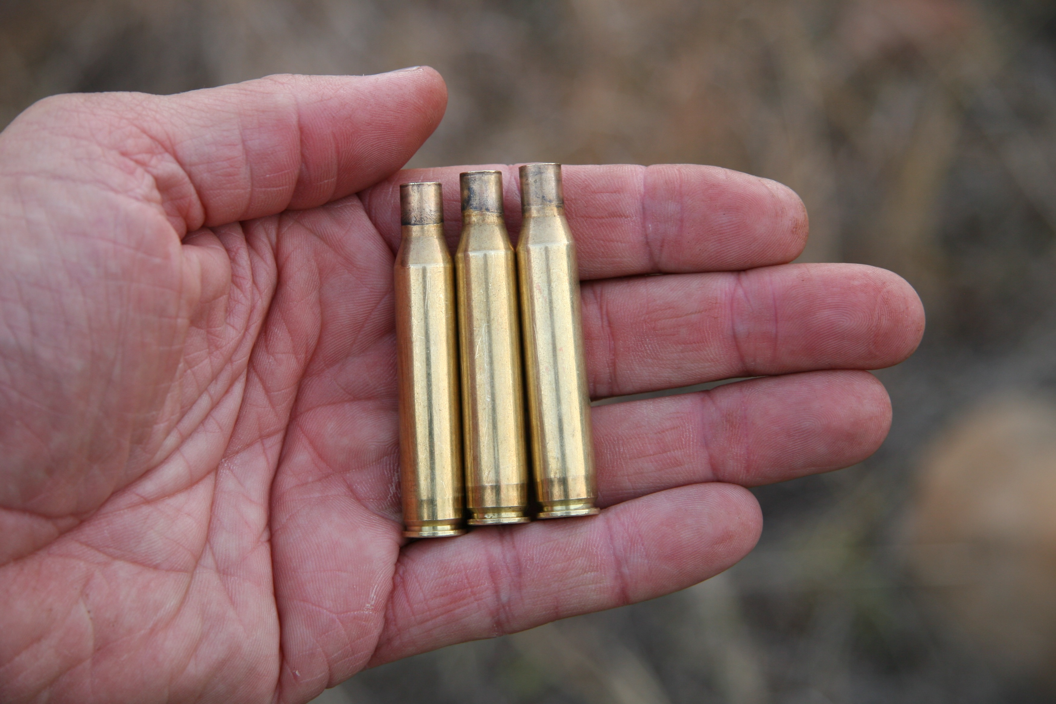 casings.jpg