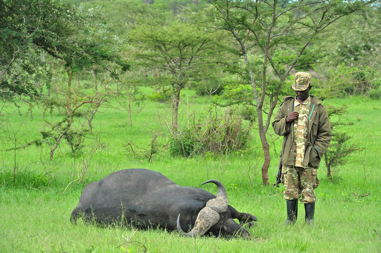 chasse-en-Afrique-Ouganda-006.jpg