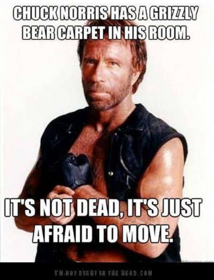 Chuck-norris-has-a-grizzly-bear-carpet-in-his-room-meme.jpg