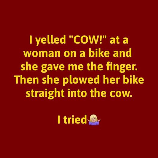 cow meme.jpg