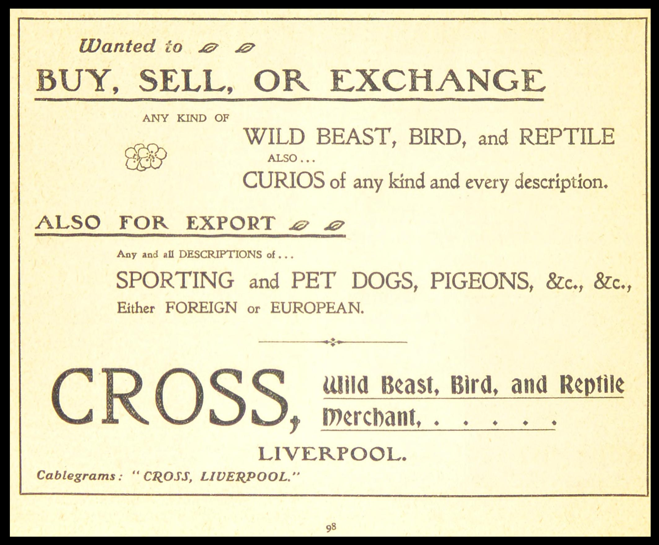 Cross, Wild Beast, Bird & Reptile Merchant Advertisement 1906.png