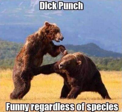 dick punch meme.jpg