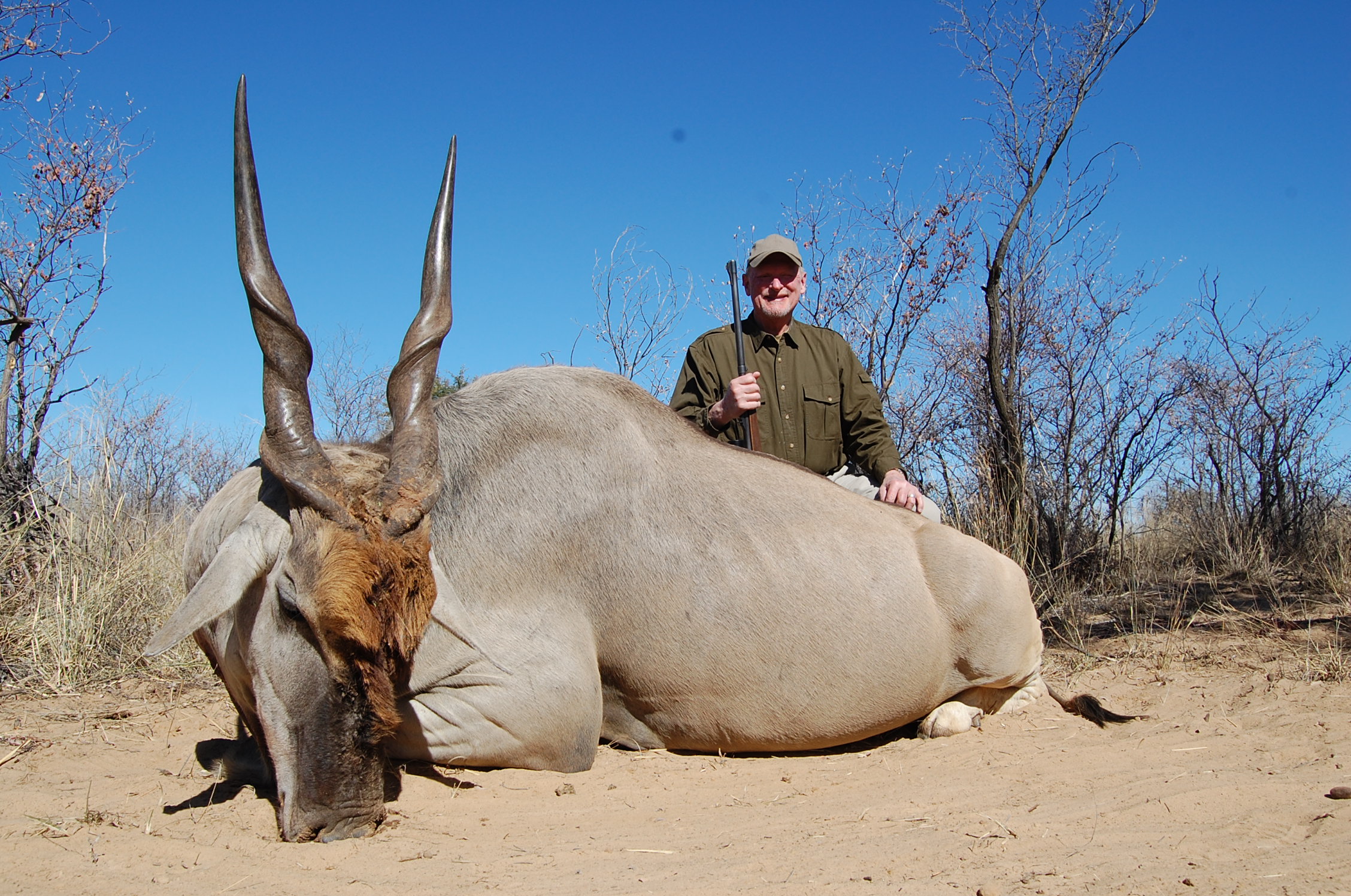 Cape Eland Hunt | Page 2 | AfricaHunting.com