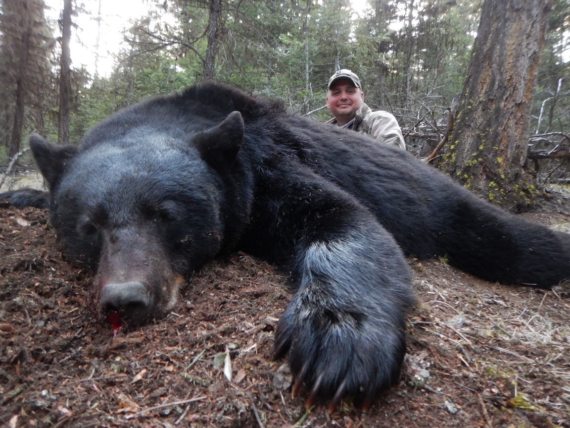 CANADA: Bear Hunting In British Columbia | AfricaHunting.com