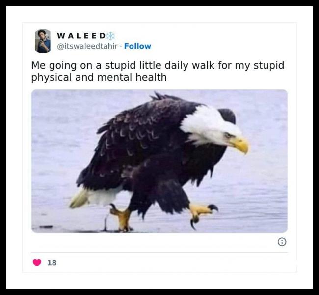 Eagle Walk.jpg