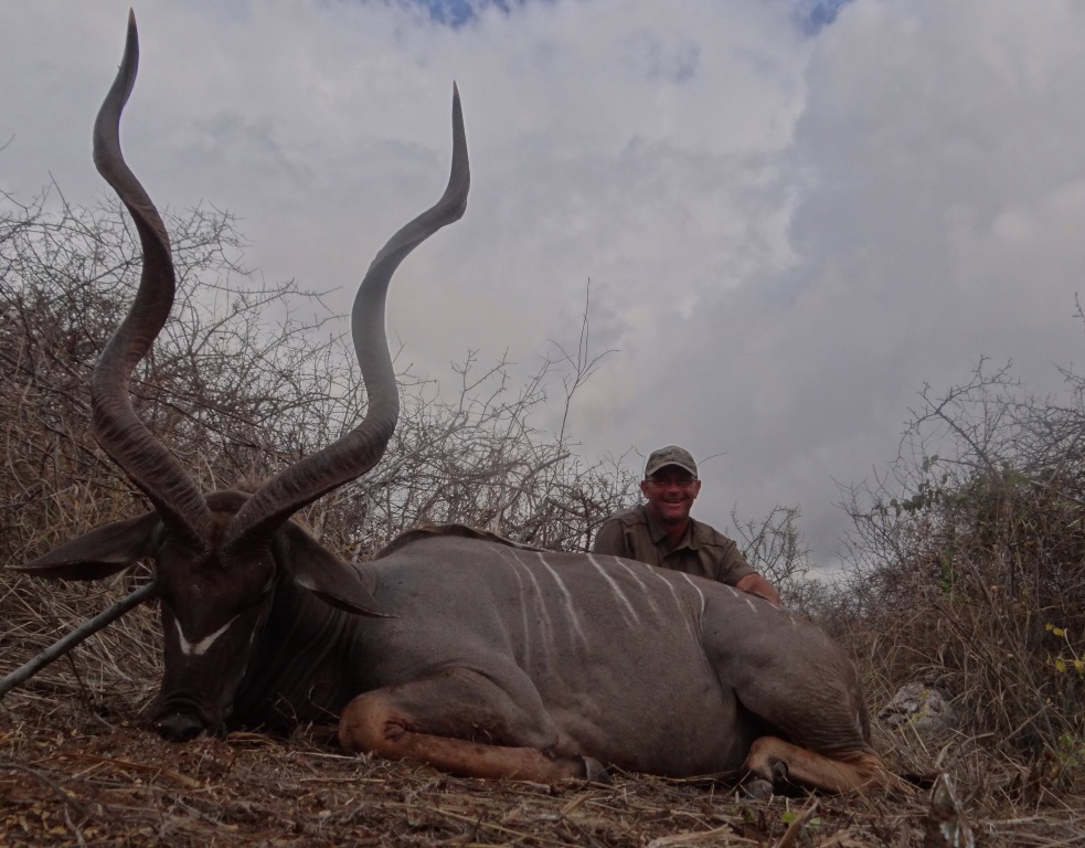 east african greater kudu (6).JPG