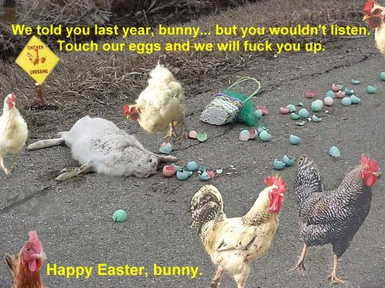 easter-humor-chickens-killed-easter-bunny.jpg