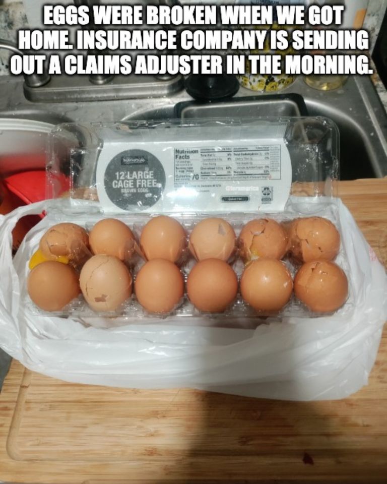 egg_claim.jpg