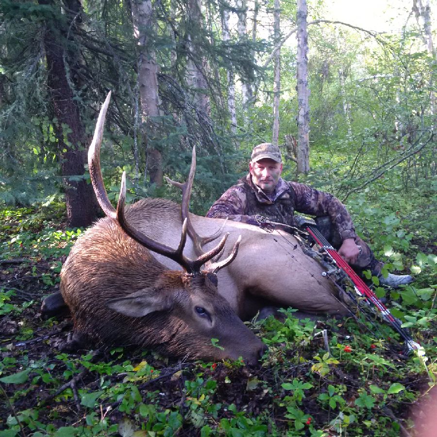 elk 2016 -2.jpg