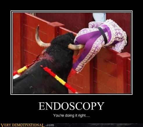 endoscopy.jpeg